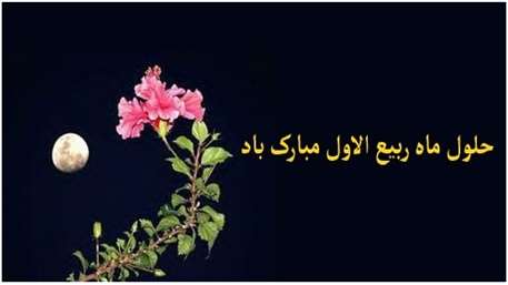 ربیع الاول,شبکه بهداشت مهدیشهر